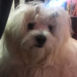 Meet your Posher, Cheryl